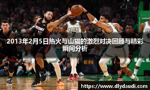 2013年2月5日热火与山猫的激烈对决回顾与精彩瞬间分析